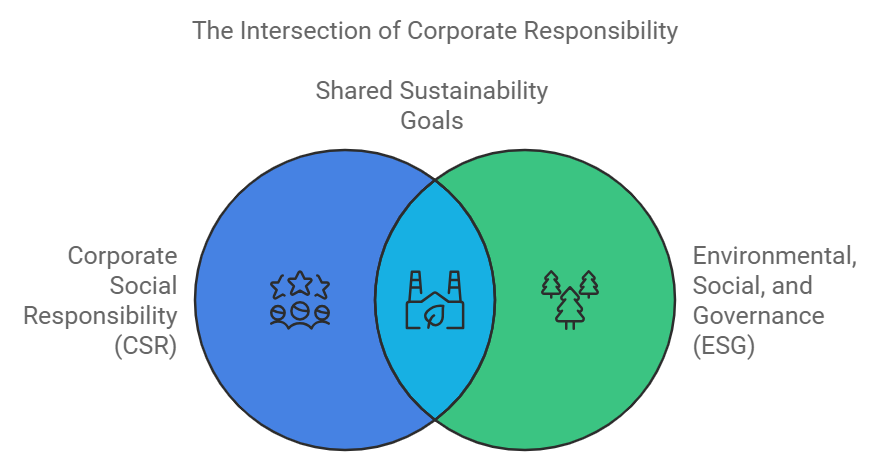 CSR and ESG