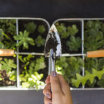 Biophilic Home